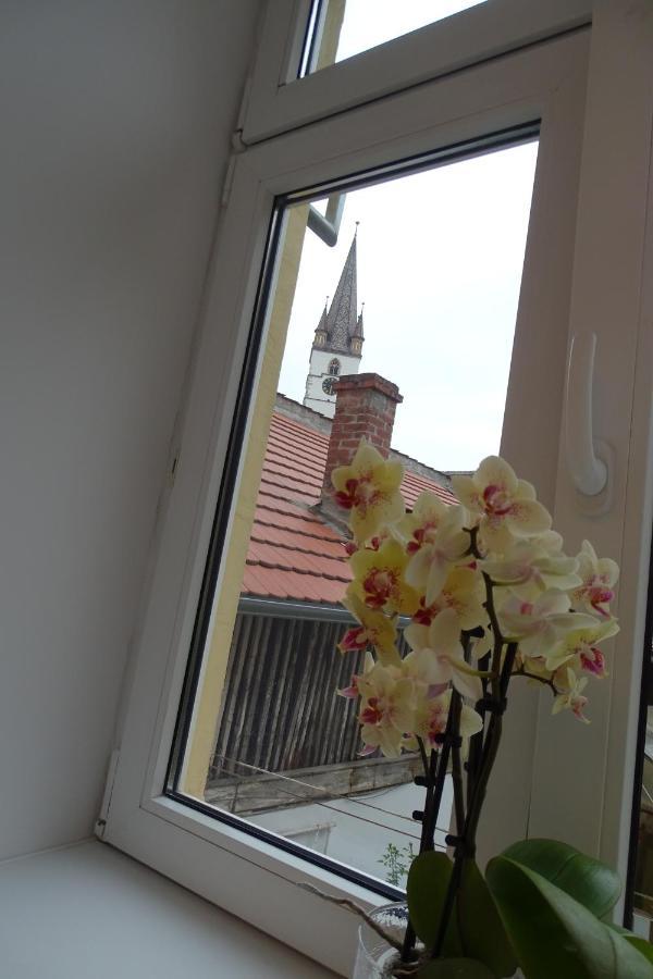 Appartement City Eyes Targul Vinului à Sibiu Extérieur photo